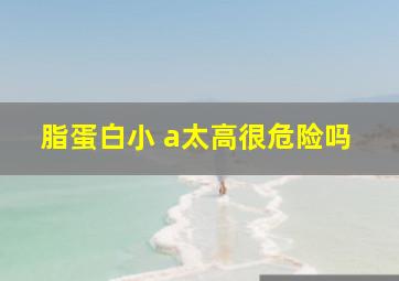 脂蛋白小 a太高很危险吗